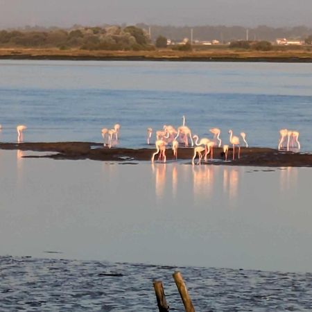 Casa Praia E Ria Torreira Bagian luar foto