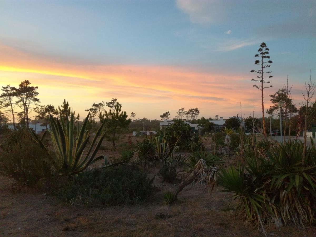 Casa Praia E Ria Torreira Bagian luar foto