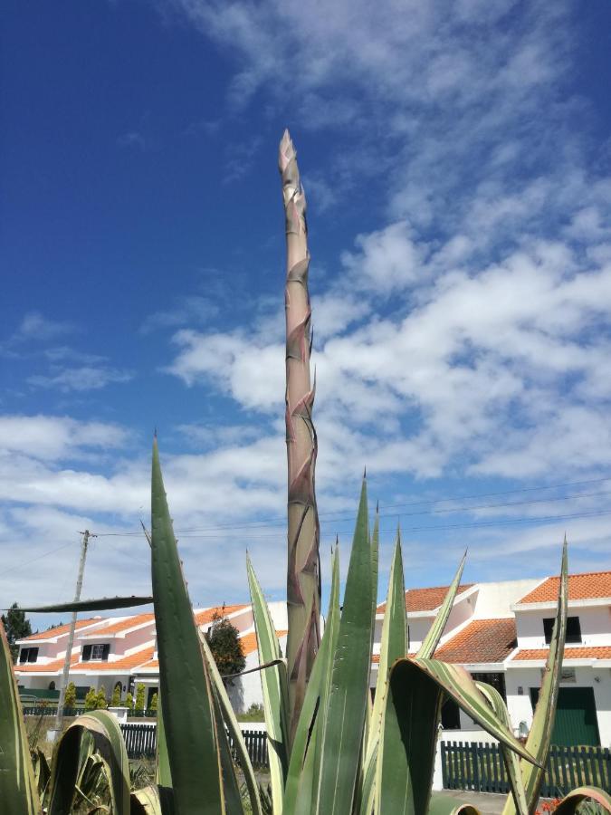 Casa Praia E Ria Torreira Bagian luar foto