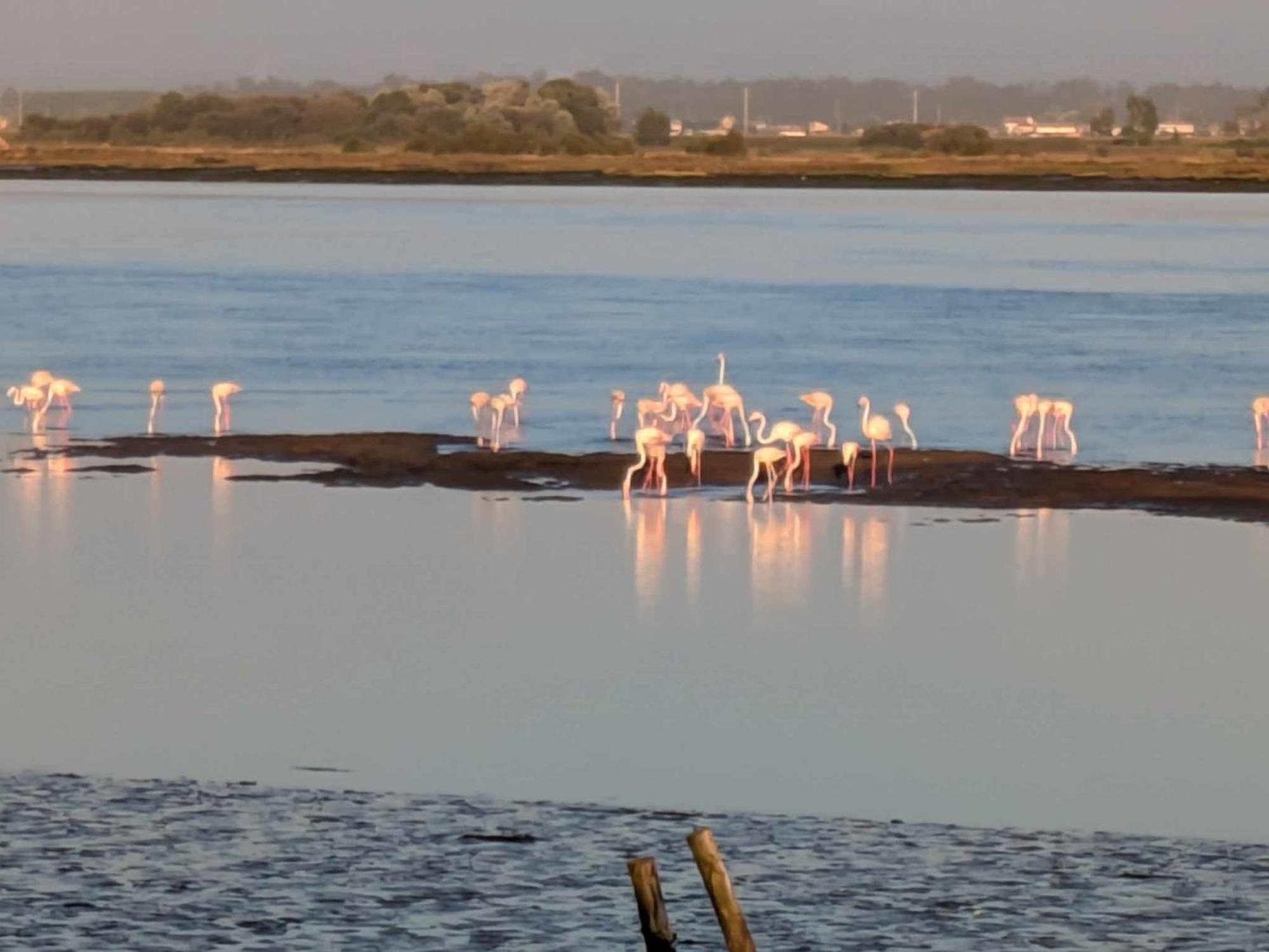 Casa Praia E Ria Torreira Bagian luar foto